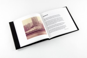 Javier De Funtas Empire State Book