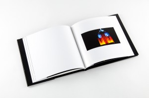 Javier De Funtas Empire State Book